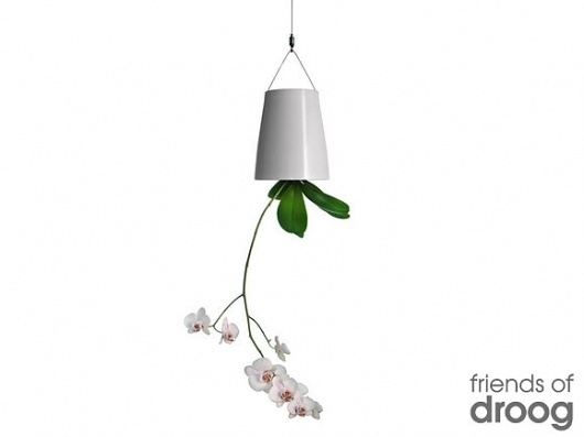 Sky Planter - medium | Droog Accessoires | by Patrick Morris #droog #morris #sky #design #planter #patrick