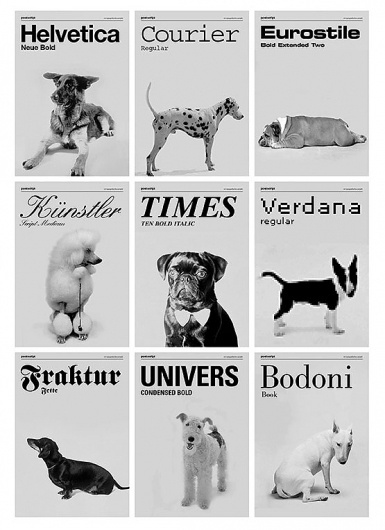 If fonts were dogs | Doobybrain.com #typography #minimal #poster #layout #black and white #dogs