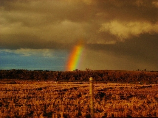 The Bird Has Rainbow Wings on the Behance Network #dusk #photography #nature #soft #divider #rainbow #country