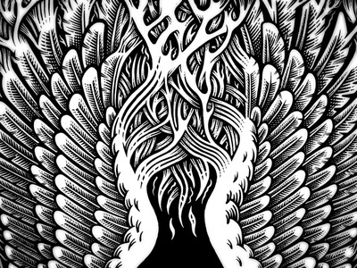 Fire Wings #white #black