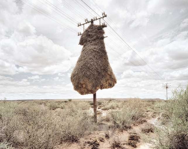Assimilation by Dillon Marsh #inspiration #photography #landscape