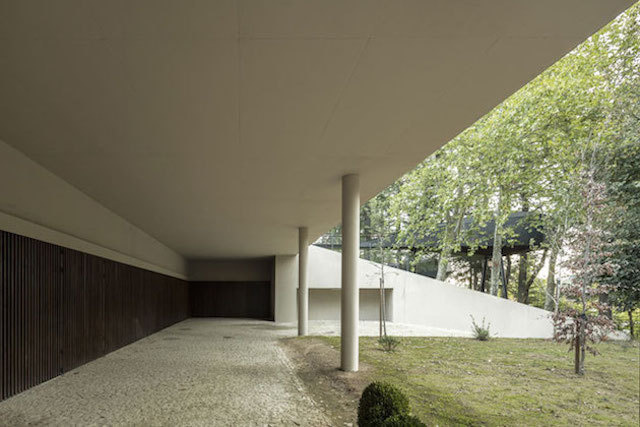 treesnakehouse-9 #architecture #house #tree
