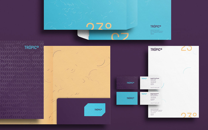 Carlos Bauer and Nicholas Pierre tropico branding blue logotype business card modern simple mindsparkle mag purple stationery minimal