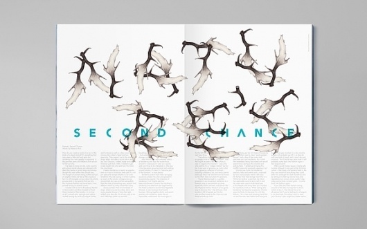 Who's Jack — Typographic illustrations on the Behance Network #antlers #illustration #typography
