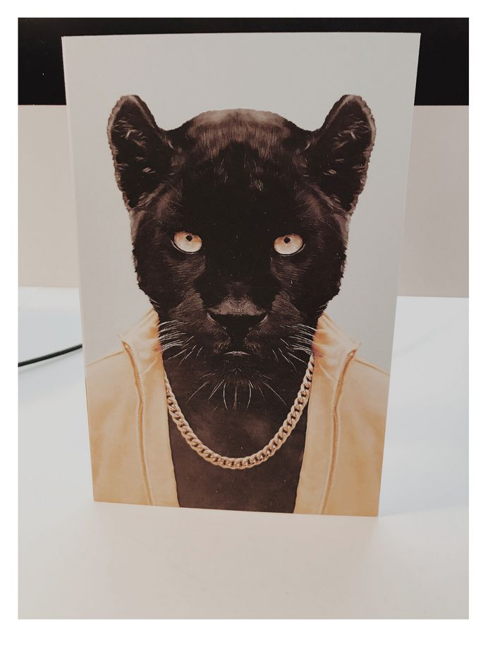 #postcard PHOTOGRAPHIE © [ catrin mackowski ]