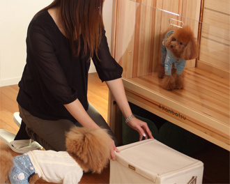 Kanbatsu #interior #cage #funiture #lucid