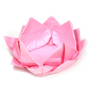 How to make a new origami lotus flower (http://www.origami-flower.org/howto-origami-lotus.php)
