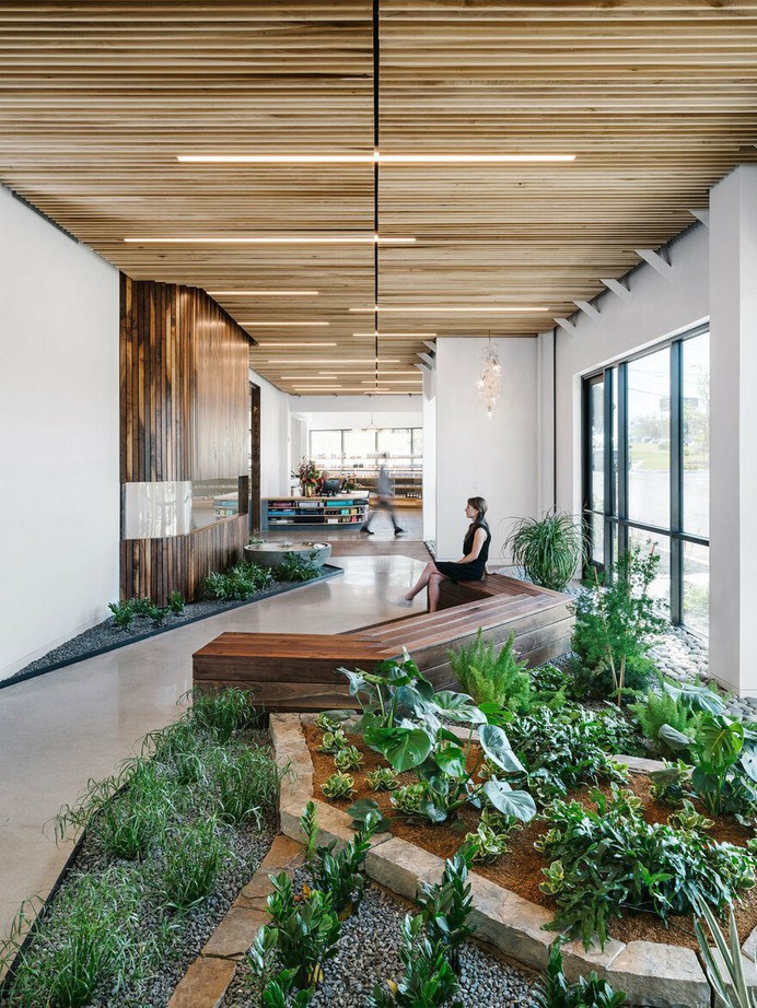 Alive + Well Wellness Center, Matt Fajkus Architecture 6