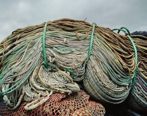 A well traveled woman #sail #photography #rope