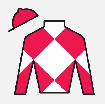 Magpie Studio #magpie #horse #pattern #colours #studio #jockey