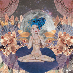 Tan frágil (2014) www.facebook.com/persistenteutopia #artwork #collageartist #digitalcollage #art