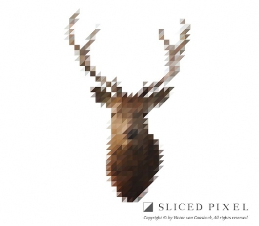 Sliced Pixel Project on the Behance Network #deer #pixel #sliced