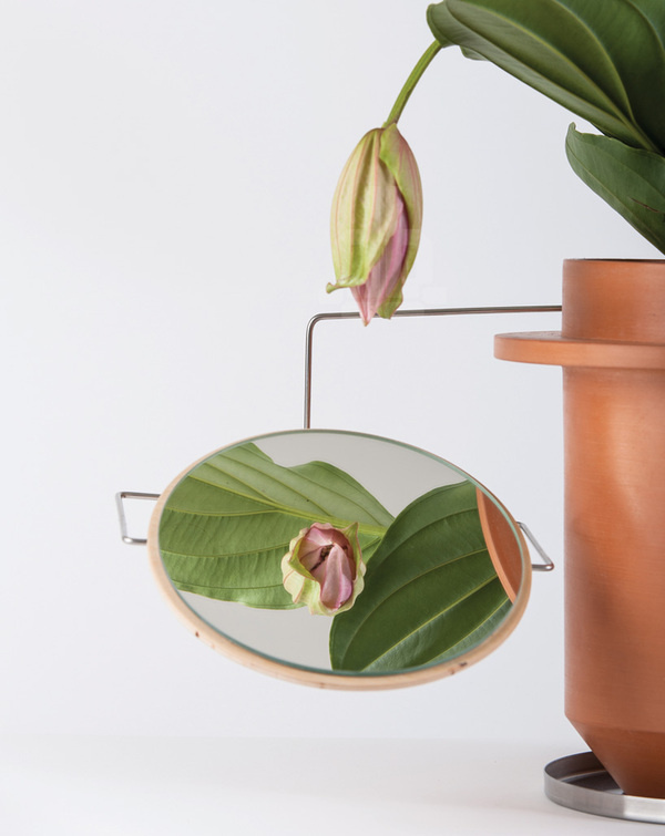 dossfiorito the phytophiler designboom #mirrors #smoke #and