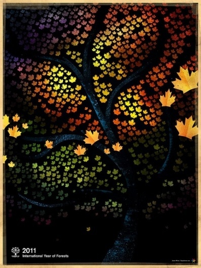 All sizes | 2011: International Year of Forests | Flickr - Photo Sharing! #tree #leaf #wood #autumn #poster #forest