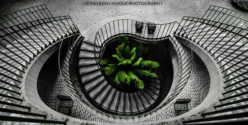 CJWHO ™ (Go Green! by Raveesh Ahuja) #white #ahuja #design #interiors #black #raveesh #and #stairs #green