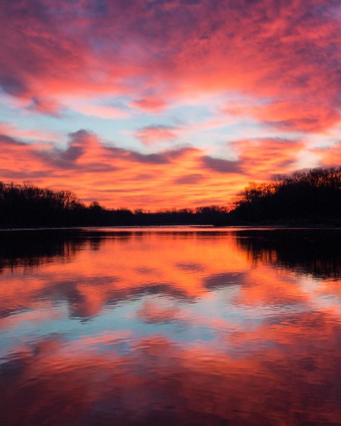 Fantastic Nature Photography by Logan Brown