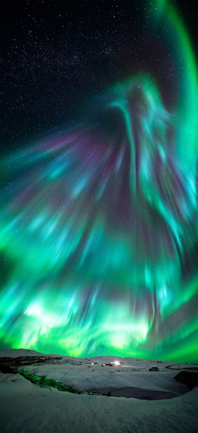 Aurora like phoenix by Wang Zheng, China