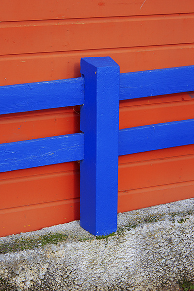 Maxime Guyon | PICDIT #photo #photography #colour