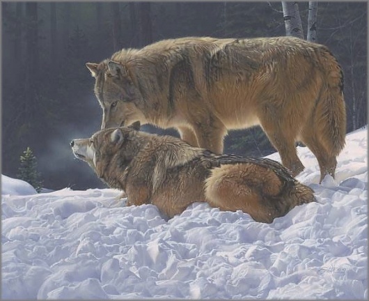 Daniel Smith - Court and Spark: Gallery One - America's Largest Art Gallery #wolves #awesomeness