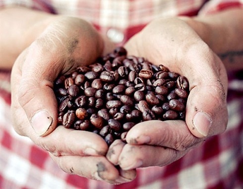 LA MARZOCCO #coffee
