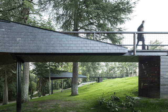 treesnakehouse-15 #architecture #house #tree