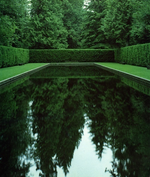 Pinned by #beauty #water #tree #sky #freedom #photography #storm #green
