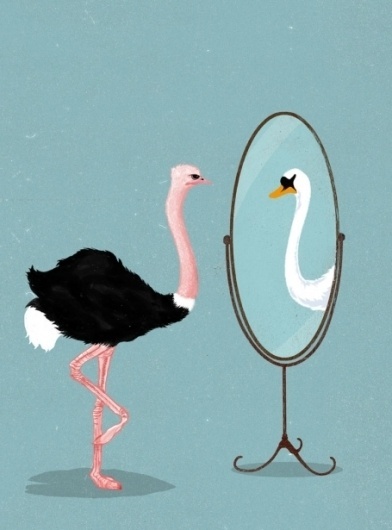 Sara Lindholm - elilustrado: Mirror - Carlo Giambarresi #mirror #swan #carlo #giambarresi