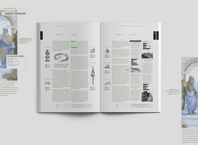 Milenaria Serpiente on Behance