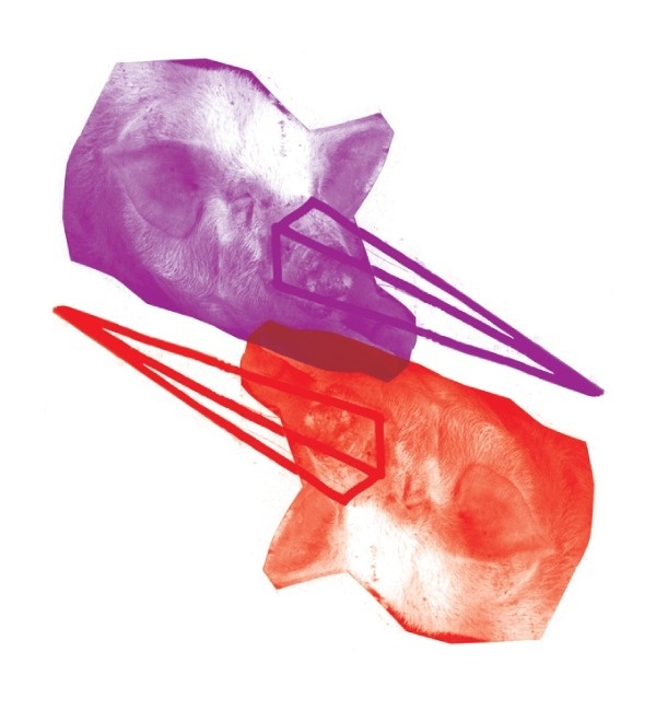hroink lies #red #pattern #kostis #illustration #photography #pigs #purple #sotirakos