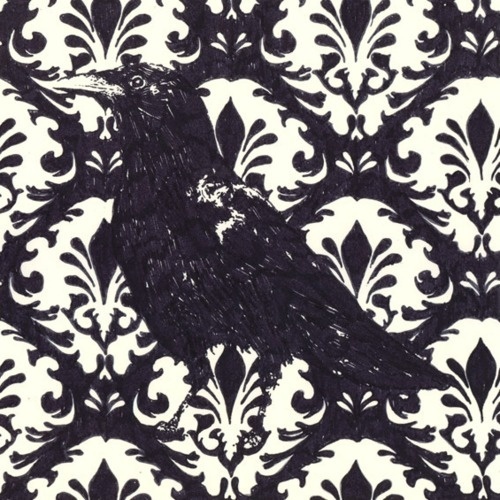 supersonic electronic / art #ink #graphic #crow