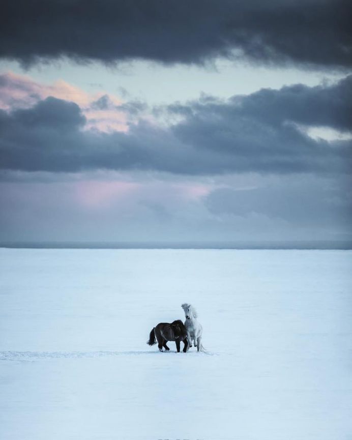 The Magnificent Landscape of Iceland by Niklas Söderlund