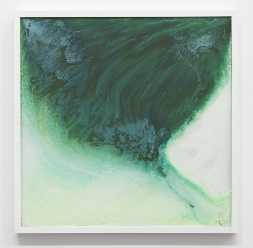 vjeranski: Alex Da Corte Wax and Wane, 2013 Shampoo on framed mirror