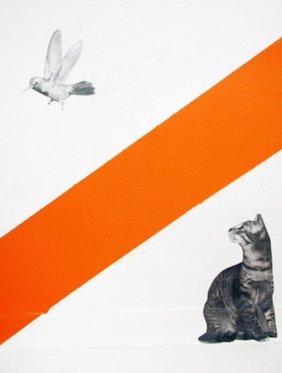 Blow Up #line #red #cat #bird