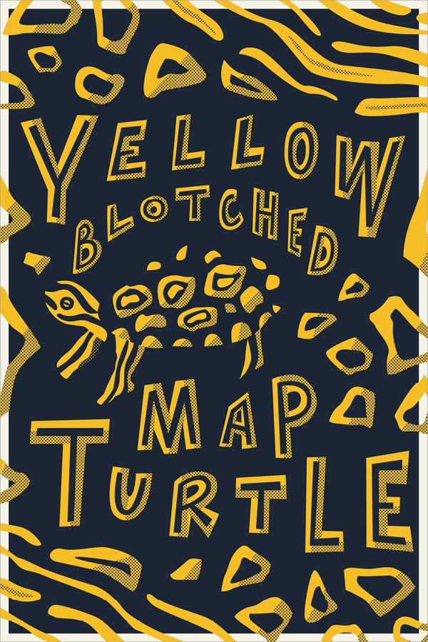 Yellow-Blotched Map Turtle — Type Hike