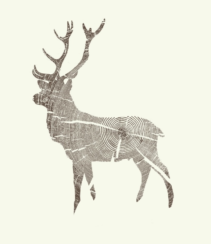 Wood Grain Stag by Kyle Naylor #wood #deer #design