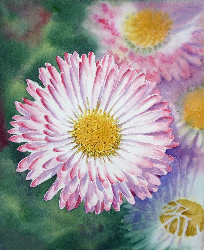 daisy painting & daisy paint by number #painting