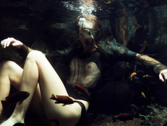 Harley-Weir-Photography-Water.jpg (540×409)