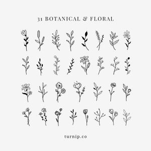 BOTANICAL & Floral Black White Clipart Bundle Set PNG Flowers image 0