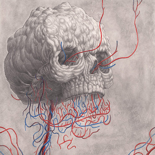 Nick Sheehy 01 #veins #skull #pencil #drawing