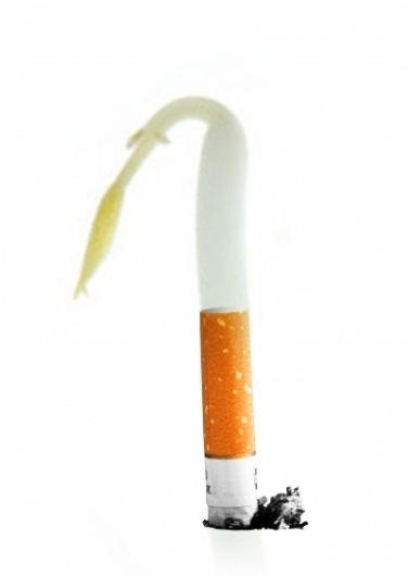 Troels Flensted #flensted #cigarette #troels #waste #eco #butt #green