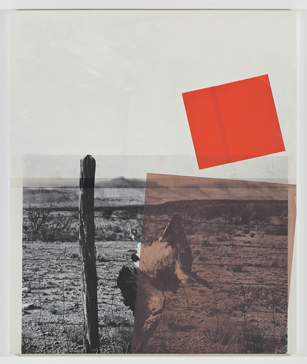 Screen (swainson hawk), acrylic, screen ink, and UV cured print on canvas over panel, 2011, 72 #collage