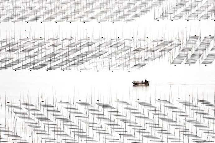 Unknown China: Coastal Geometries of Bamboo Worlds by Tugo Cheng