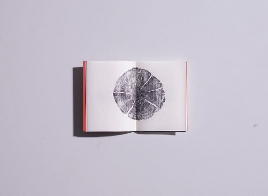Sassafras - DAVID TORR #binding #tree #print #letterpress #book