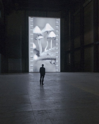 When is a craft an art? | Tate Blog #tate #tacita #art #film #dean