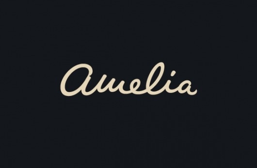 Type Division — Amelia #lettering #identity #custom #logo #typography