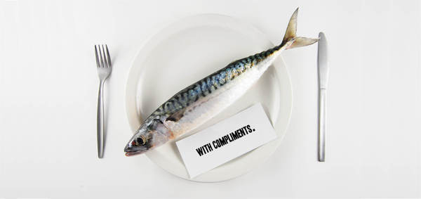 Fisherman Frank Stationery Range. #fish #compliments #slip #stationery