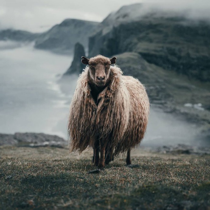 Striking and Cinematic Travel Landscapes by Michiel Pieters