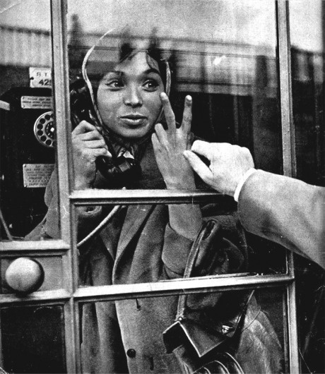 asleep and dreaming, i saw dead men living; awake, i saw living men dead. - decapitate animals #photography #woman #telephone