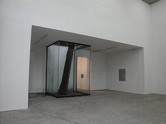 Cold Rockin #interior #glass #architecture #tree