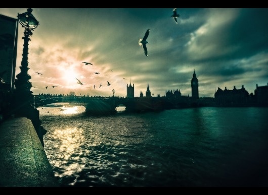 From London With Love by Sidewinder- on Artician #birds #london #love